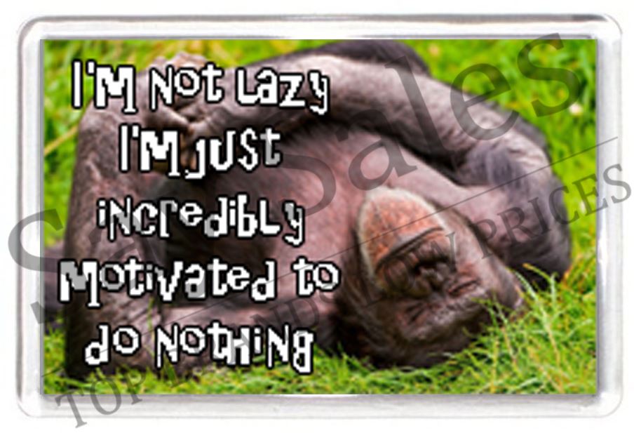 Funny Lazy Fridge Magnet Saying Quote Gift Novelty